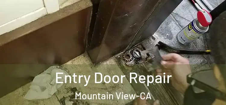 Entry Door Repair Mountain View-CA
